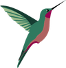 Logo Kolo — colibri madère